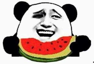 吃瓜群众怎么演好,揭秘瓜田里的表演艺术