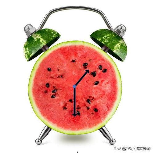 吃瓜小技能,轻松成为社交圈焦点